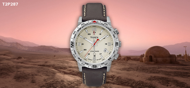 Timex t2p287 store